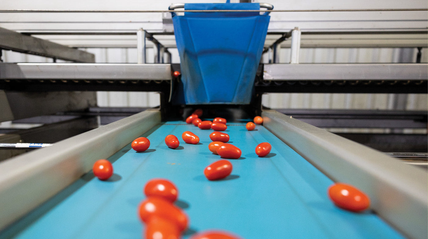 A Decade of Savings: MAC Bullet Valves Prove Their Value in Fruit Grading Machinery